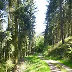 Moseljuwel-traumferien By Interhome Apartament *