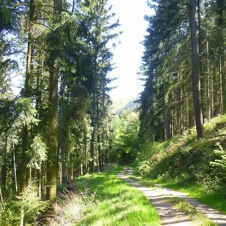 Moseljuwel-traumferien By Interhome Apartment *