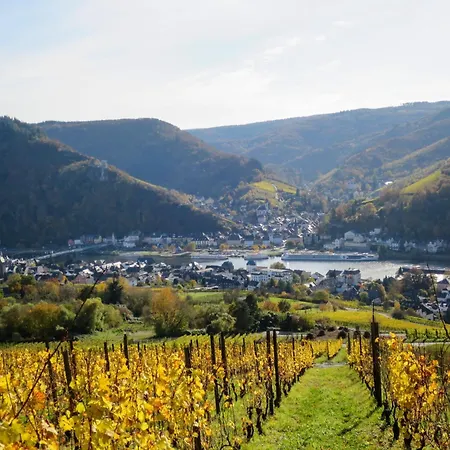 Apartment Moseljuwel-traumferien By Interhome *