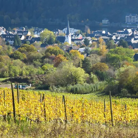 Moseljuwel-traumferien By Interhome Traben-Trarbach