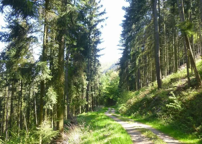 Moseljuwel-traumferien By Interhome Apartamento *