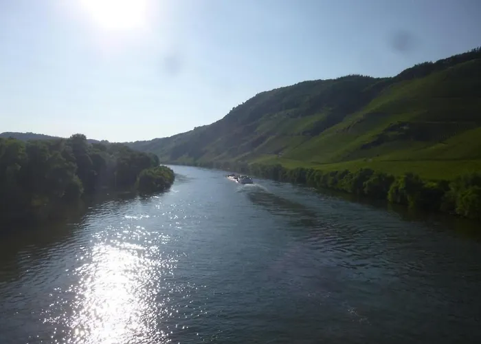 Apartamento Moseljuwel-traumferien By Interhome *