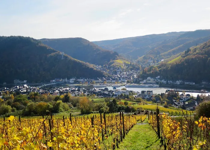 Appartement Moseljuwel-traumferien By Interhome *