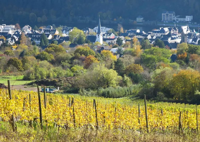 Moseljuwel-traumferien By Interhome Verbandsgemeinde Traben-Trarbach